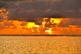 Nest Style Beach Zanzibar