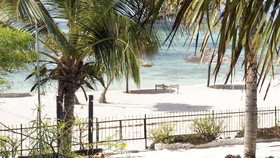Nest Style Beach Zanzibar