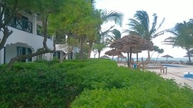 Nest Style Beach Zanzibar