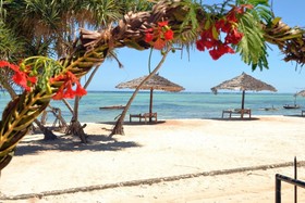 Nest Style Beach Zanzibar