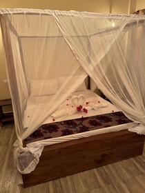 Villa Peace And Color