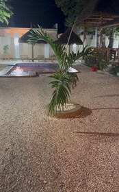 Villa Peace And Color