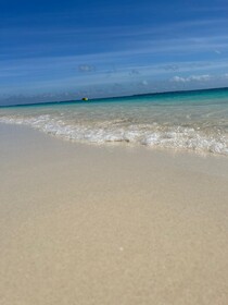 Villa Peace And Color