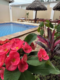 Villa Peace And Color