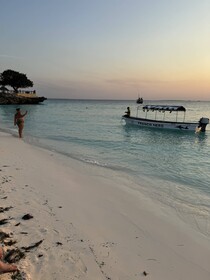 Villa Peace And Color