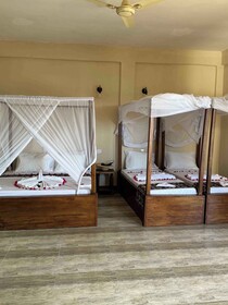 Villa Peace And Color