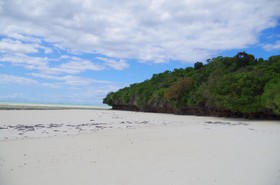 Pearl Beach by Sansi