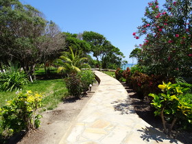 Pearl Beach by Sansi