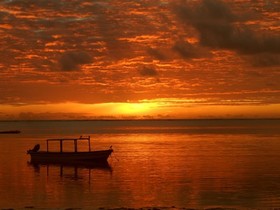 Pearl Beach by Sansi