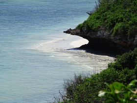 Pearl Beach by Sansi