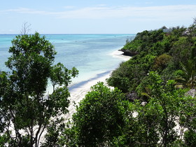 Pearl Beach by Sansi