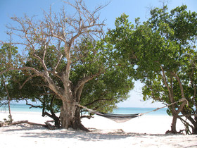 Pearl Beach by Sansi