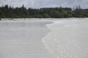 Pearl Beach by Sansi