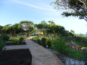 Pearl Beach by Sansi