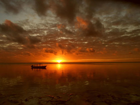Pearl Beach by Sansi