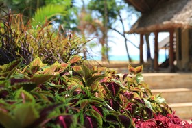 Tulia Zanzibar Unique Beach Resort