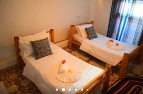 ZH Backpackers