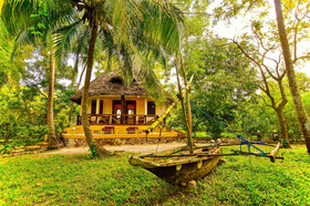 Mangrove Lodge