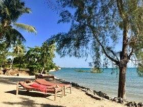 Mangrove Lodge