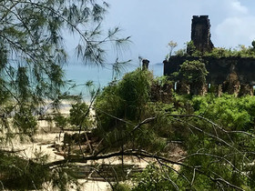 Mangrove Lodge