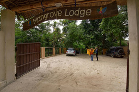 Mangrove Lodge