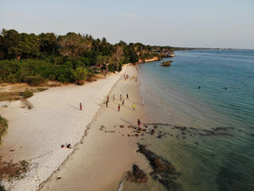 Mangrove Lodge