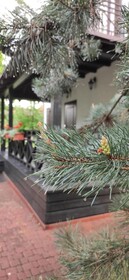 Park-Hotel Kidev