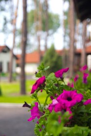 Park-Hotel Kidev