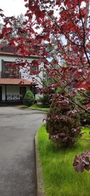 Park-Hotel Kidev