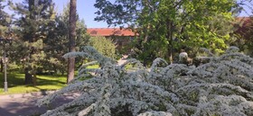Park-Hotel Kidev