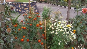 Flagship Piazza Hotel - Hostel