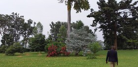 The Estate Ebwerenga