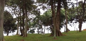 The Estate Ebwerenga