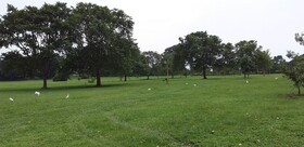The Estate Ebwerenga