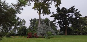 The Estate Ebwerenga