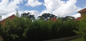 Mango Cottages & Recreation Center