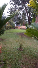 Makan Hill Resort Hotel