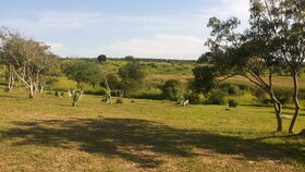 Parkside Safari Lodge
