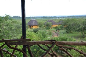 Twiga Tales Safari