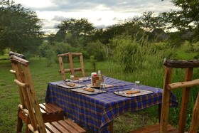 Twiga Tales Safari