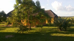 Twiga Tales Safari