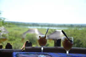 Twiga Tales Safari