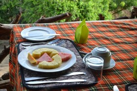 Twiga Tales Safari