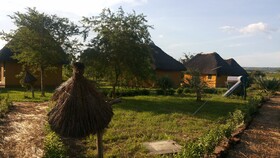 Twiga Tales Safari