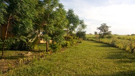 Twiga Tales Safari