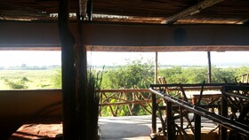 Twiga Tales Safari