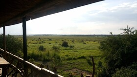 Twiga Tales Safari