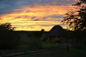 Twiga Tales Safari