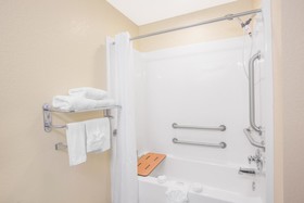 Microtel Inn & Suites by Wyndham Albertville