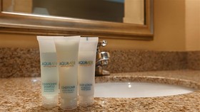 Best Western Plus Bessemer Hotel & Suites